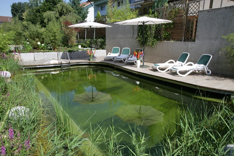 Zen Garten mit Naturschwimmbad