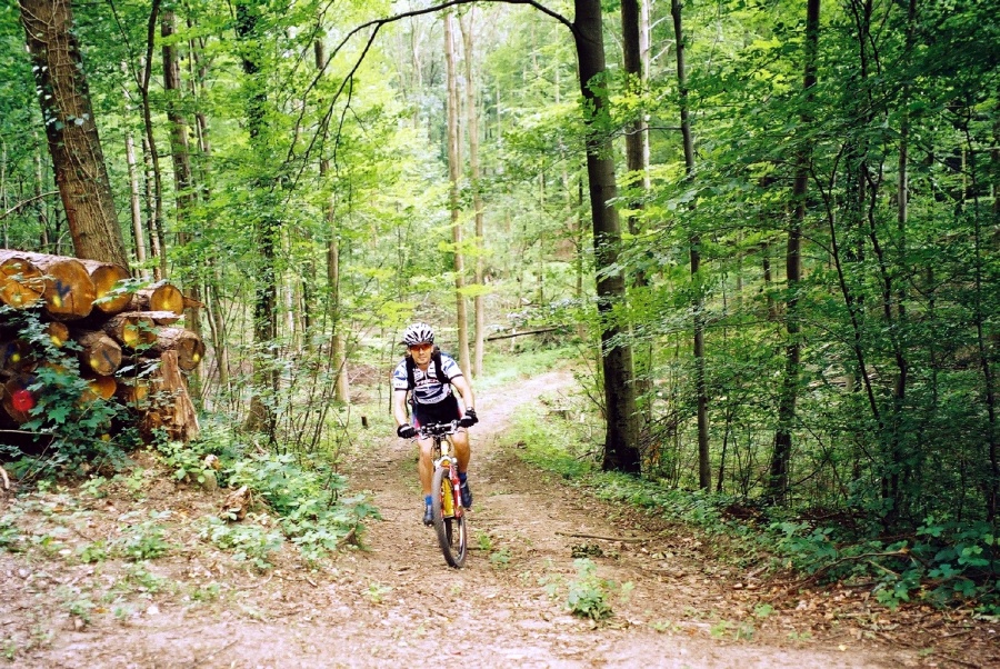 Odenwald Trail
