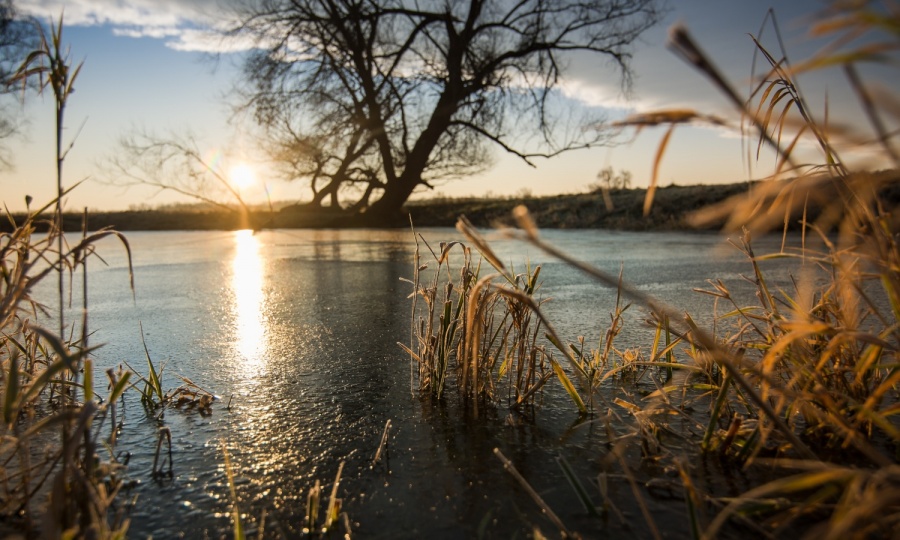 Zwischen Fluss- ...