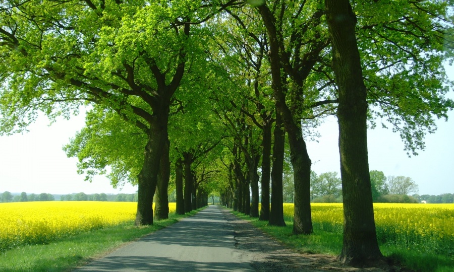 in wunderbarer Natur