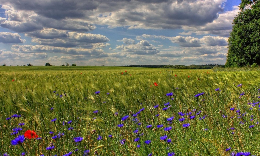 Erholung im Biosphärenreservat Elbe Brandenburg