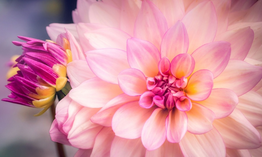 Mittendrin im Sommer
